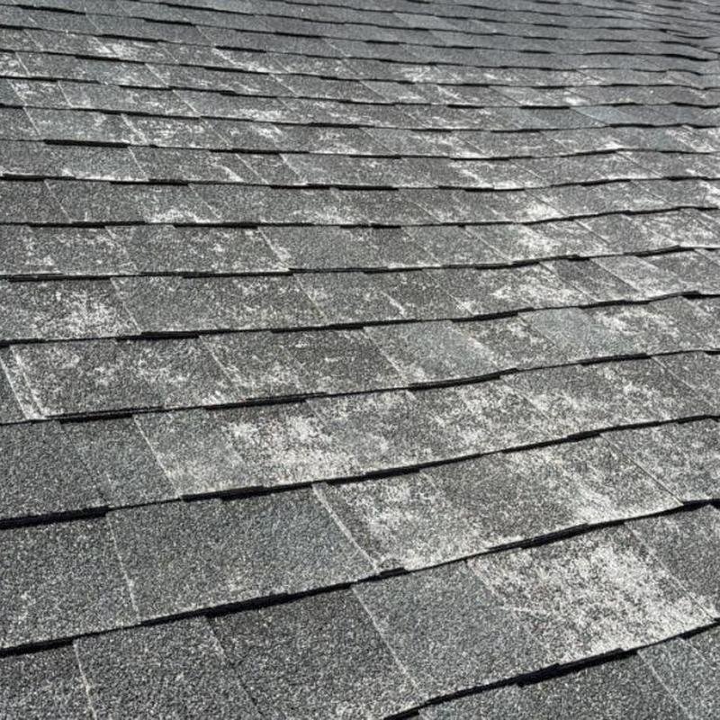 Asphalt shingle roof with wear and granule loss
