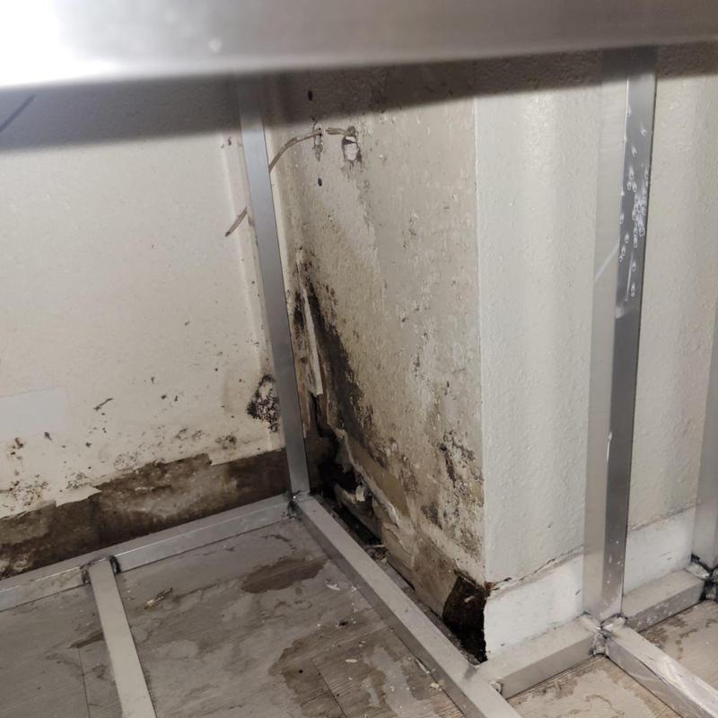 Interior wall mold and water damage behind metal framing