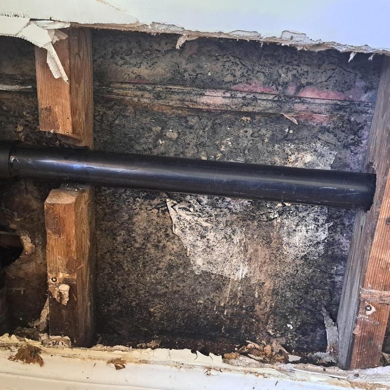 Kitchen drain PVC pipe section replacement in wall cavity