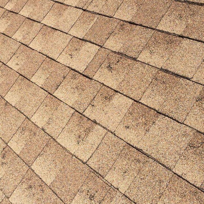 Asphalt shingle roof with weathering and granule loss Asphalt shingle roof with weathering and granule loss