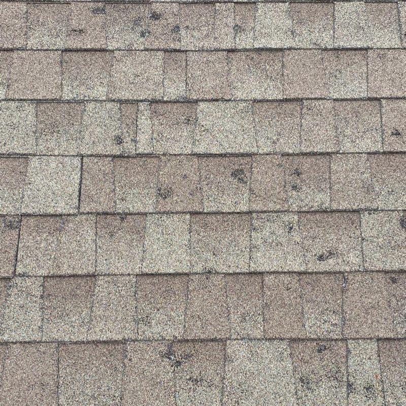 GAF Timberline roof shingles with hail damage spots GAF Timberline roof shingles with hail damage spots
