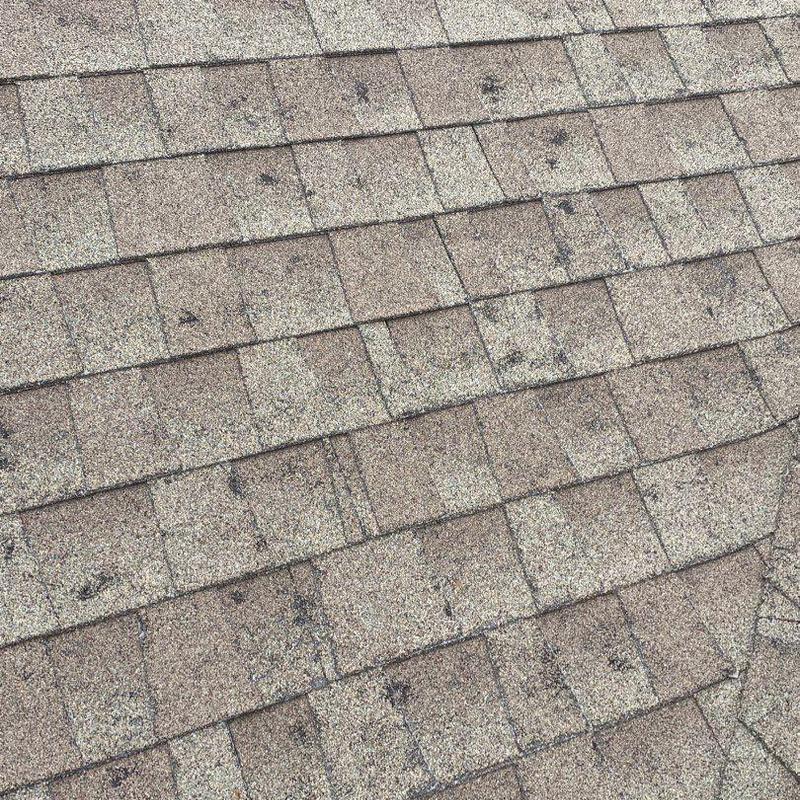 GAF Timberline roof shingles with hail damage spots GAF Timberline roof shingles with hail damage spots