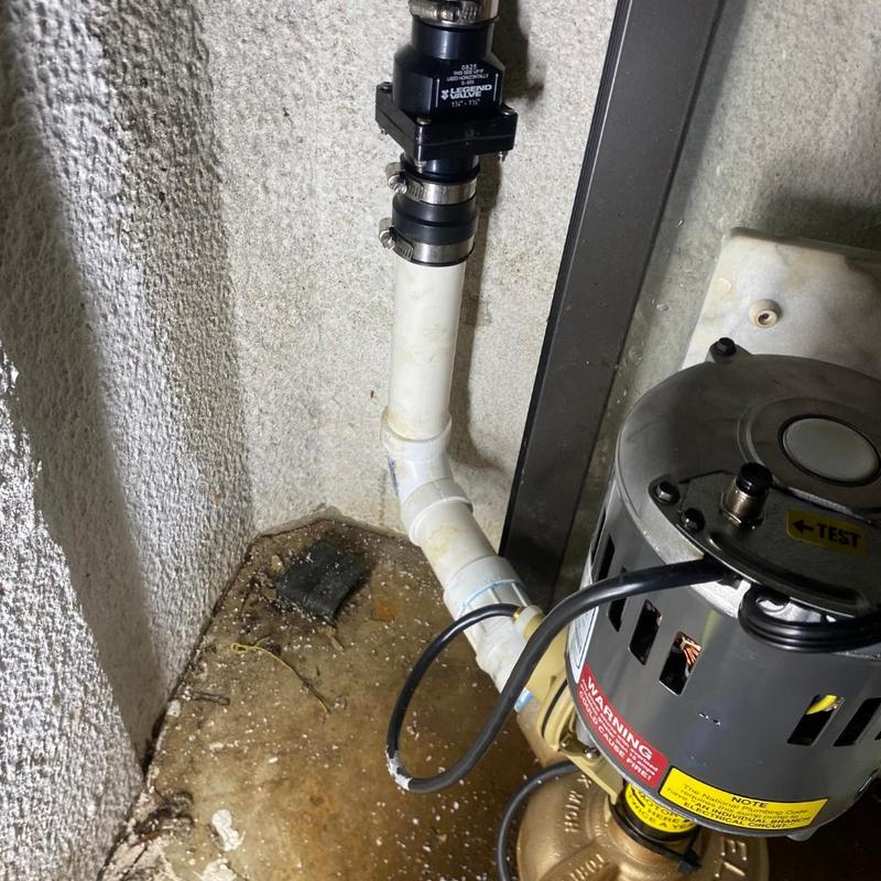 Shellback Torpedo pump with relocated check valve installation