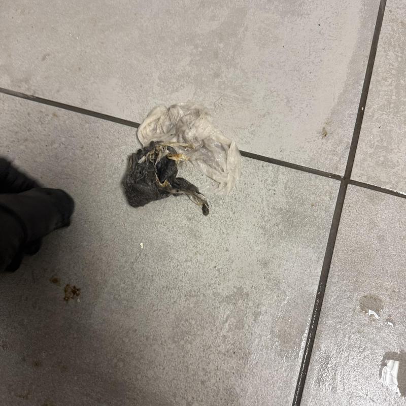 Main line blockage debris removed on tiled floor Main line blockage debris removed on tiled floor