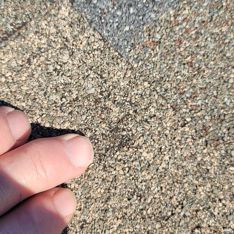 Asphalt shingle roof hail damage close-up with finger for scale