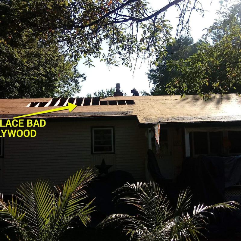 Roof plywood replacement with exposed roof frame Roof plywood replacement with exposed roof frame