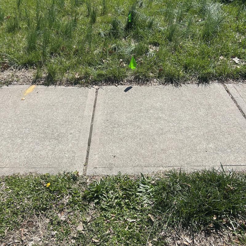 Sidewalk with grass and survey flags in Fairfield, NJ Sidewalk with grass and survey flags in Fairfield, NJ