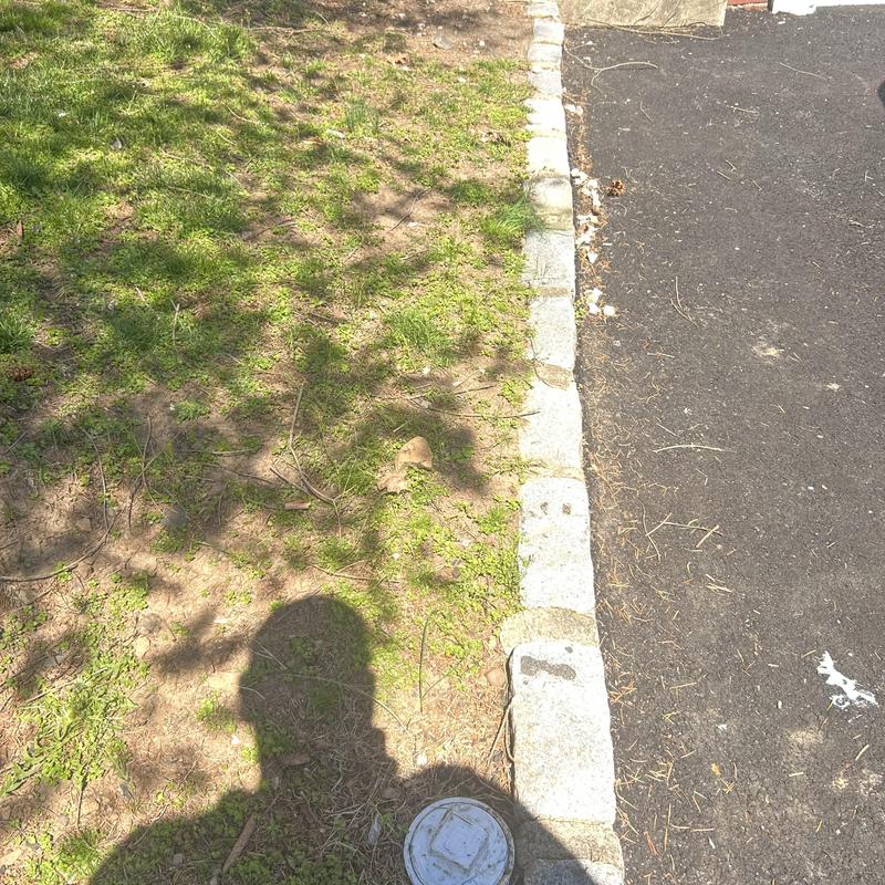 Sewer cleanout cap by driveway edge with lawn and pavement Sewer cleanout cap by driveway edge with lawn and pavement