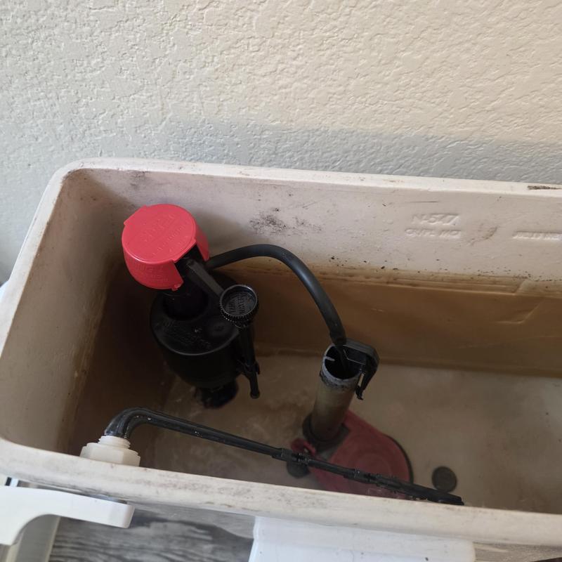 Toilet fill valve and supply line inside tank in Queen Creek