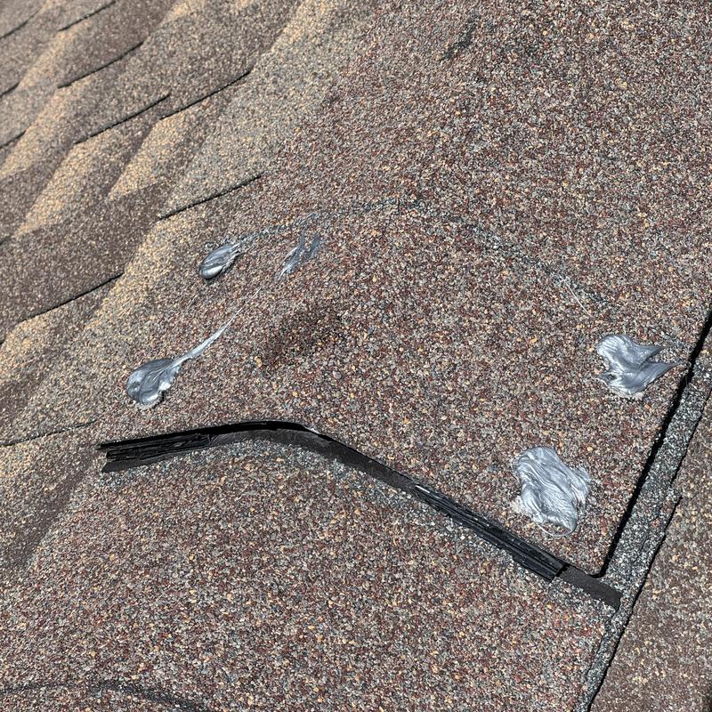 Roof shingle with sealed exposed nail heads and flashing gaps