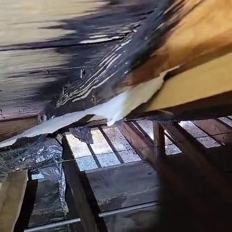 Concrete tile roof underlayment damage in attic space