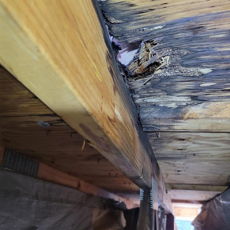 Concrete tile roof wood damage and underlayment failure