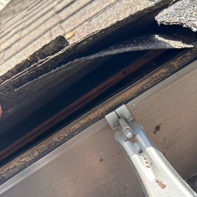 Roofing underlayment damage behind lifted shingles
