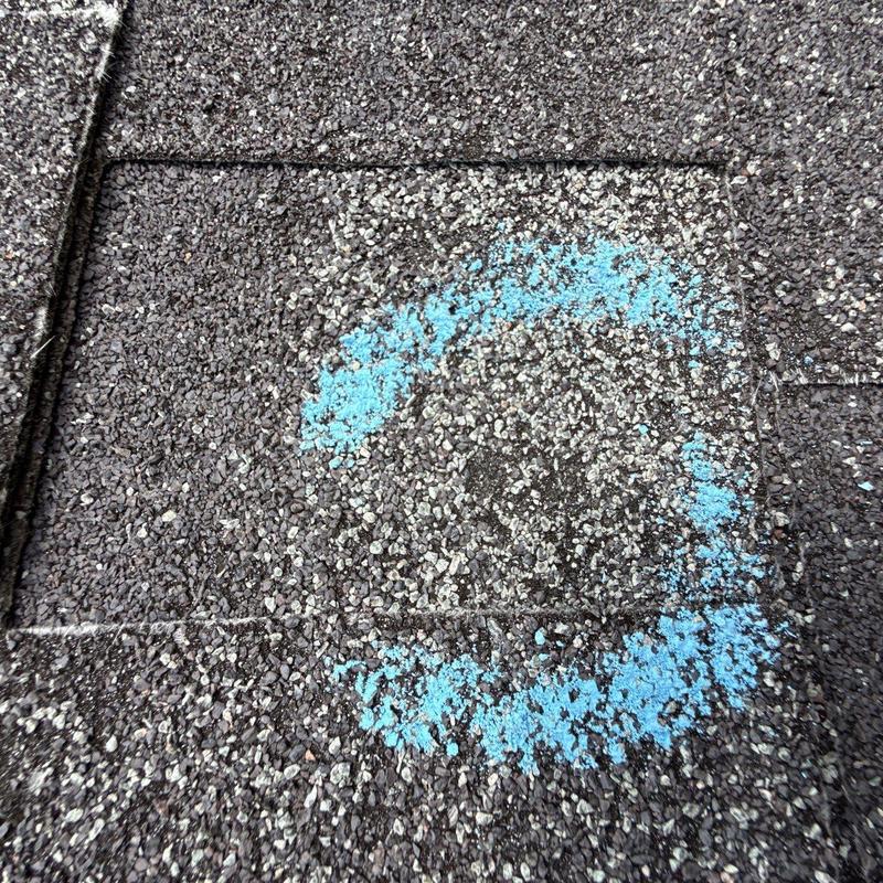 Asphalt Roof Shingle with Blue Chalk Hail Damage Marking