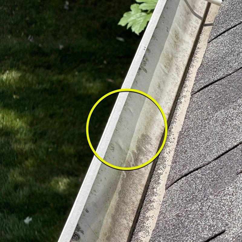 Roof gutter with dirt and debris buildup near shingles