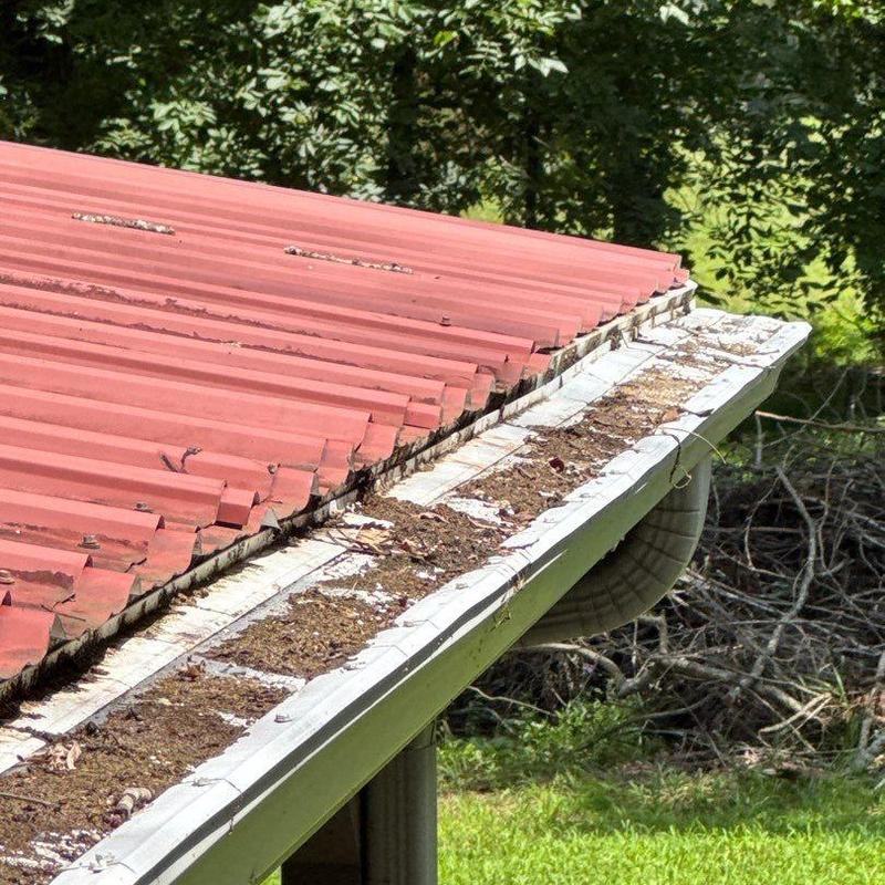 Metal roof and gutter with accumulated debris