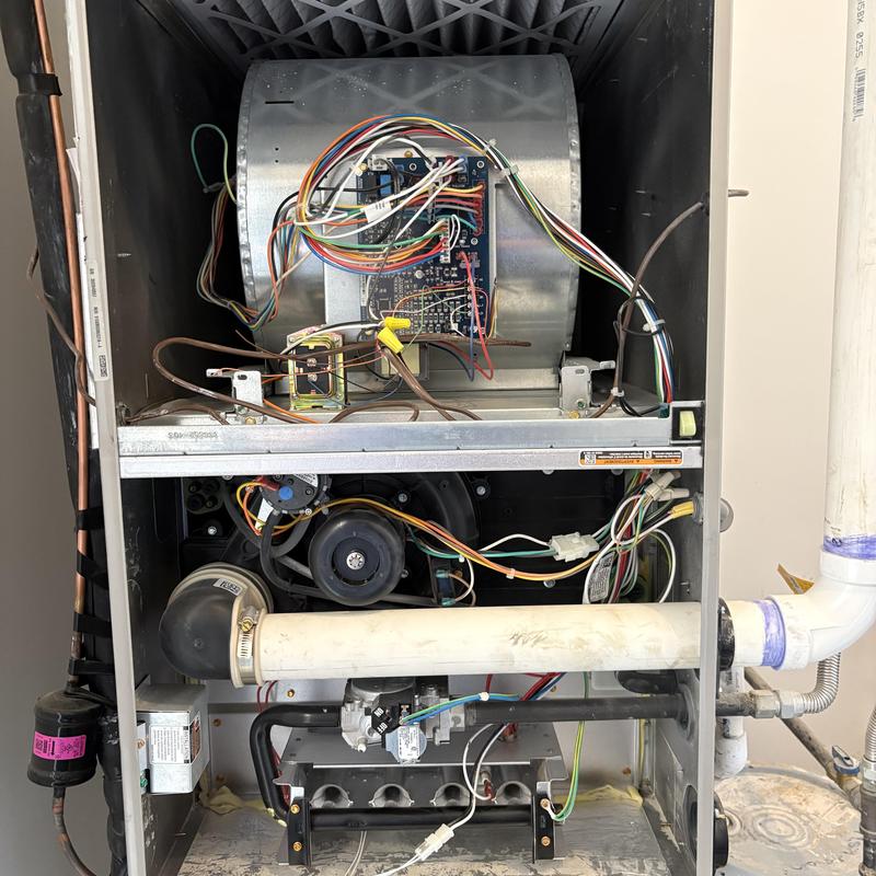 Furnace control board and blower motor with wiring