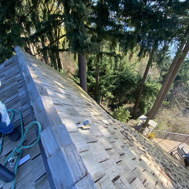 Wood shingle roof with moss and debris buildup Wood shingle roof with moss and debris buildup