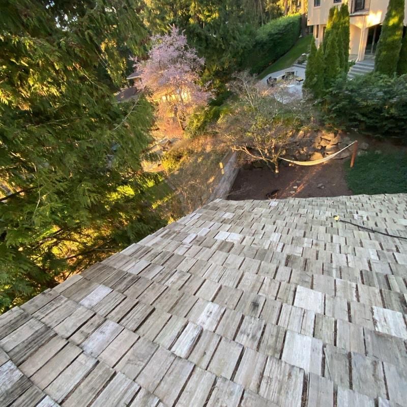 Wood shingle roof with surrounding trees and yard view Wood shingle roof with surrounding trees and yard view