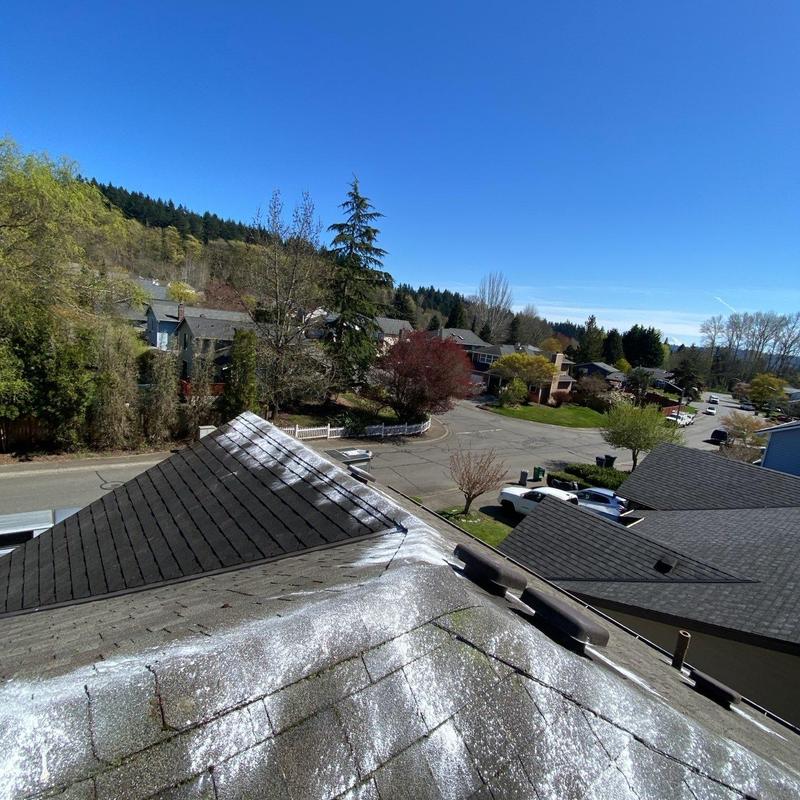 Roof shingles with moss removal and cleaning in Bothell, WA