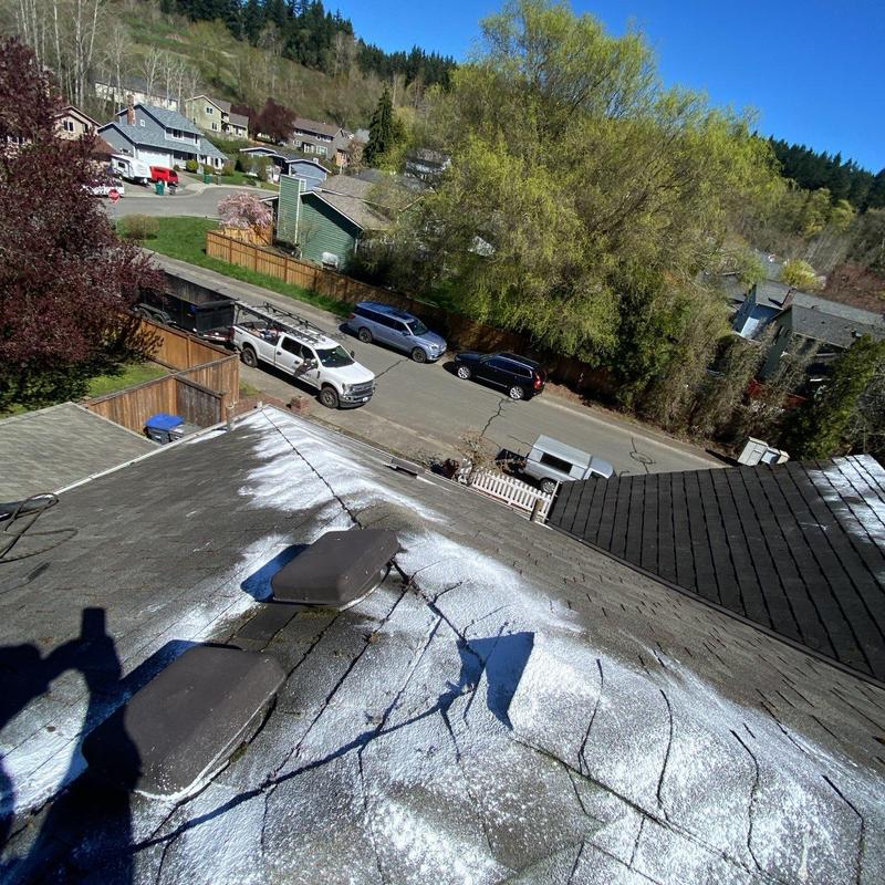 Roof shingles with moss removal treatment in Bothell, WA