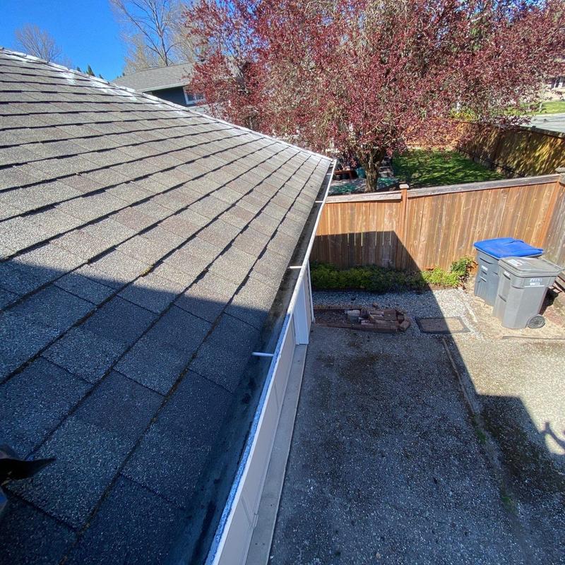 Roof shingles and gutter with moss removal in Bothell