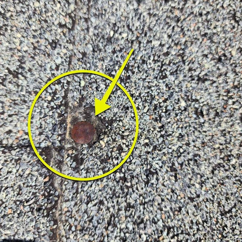 Asphalt shingle roof showing rusted roofing nail and granules