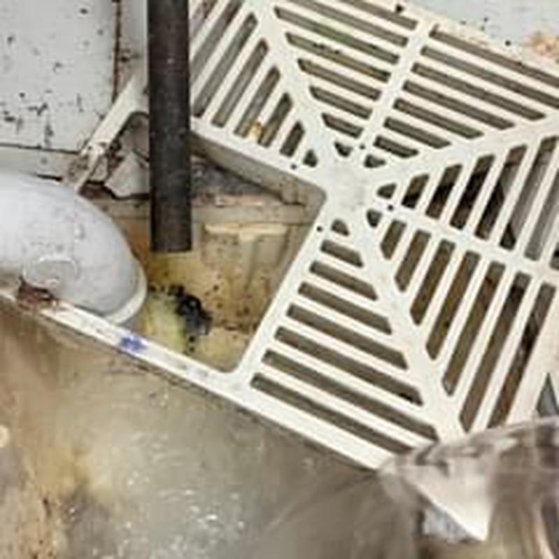 Commercial grease trap outlet drain with grate