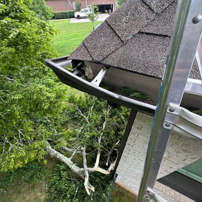 Asphalt shingle roof and damaged gutter with broken tree branch