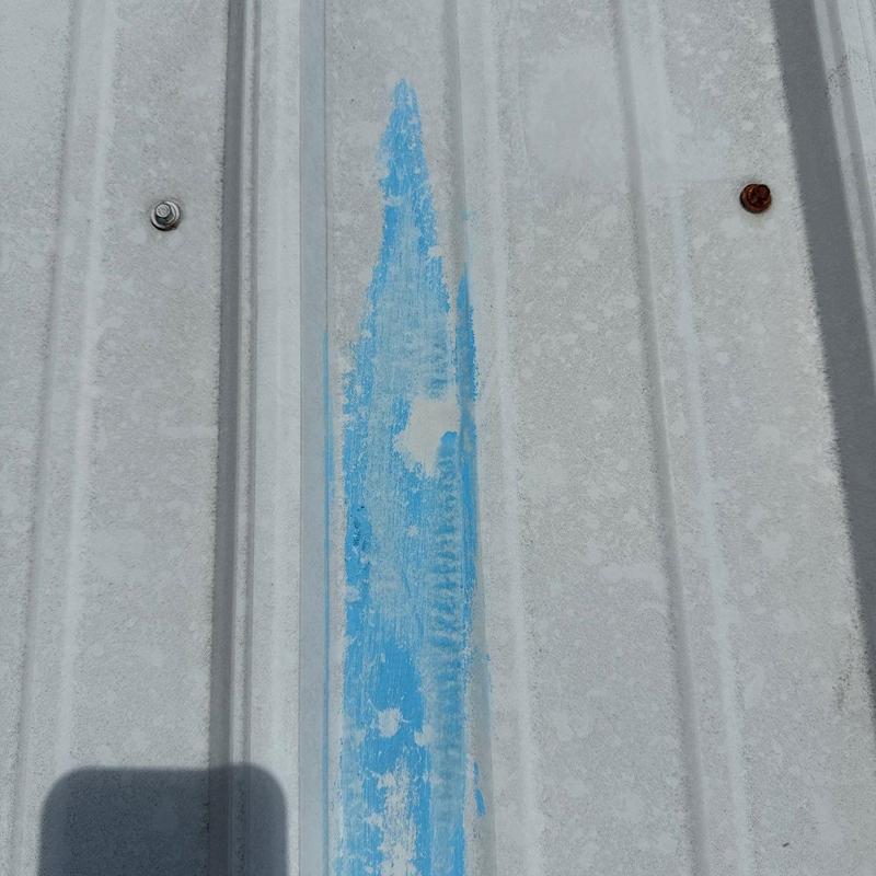 Metal roof panel with paint deterioration and rusted fastener