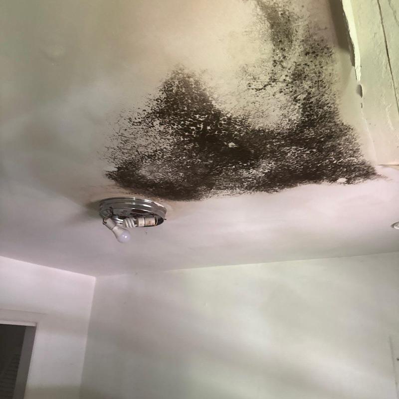 Ceiling mold growth near light fixture