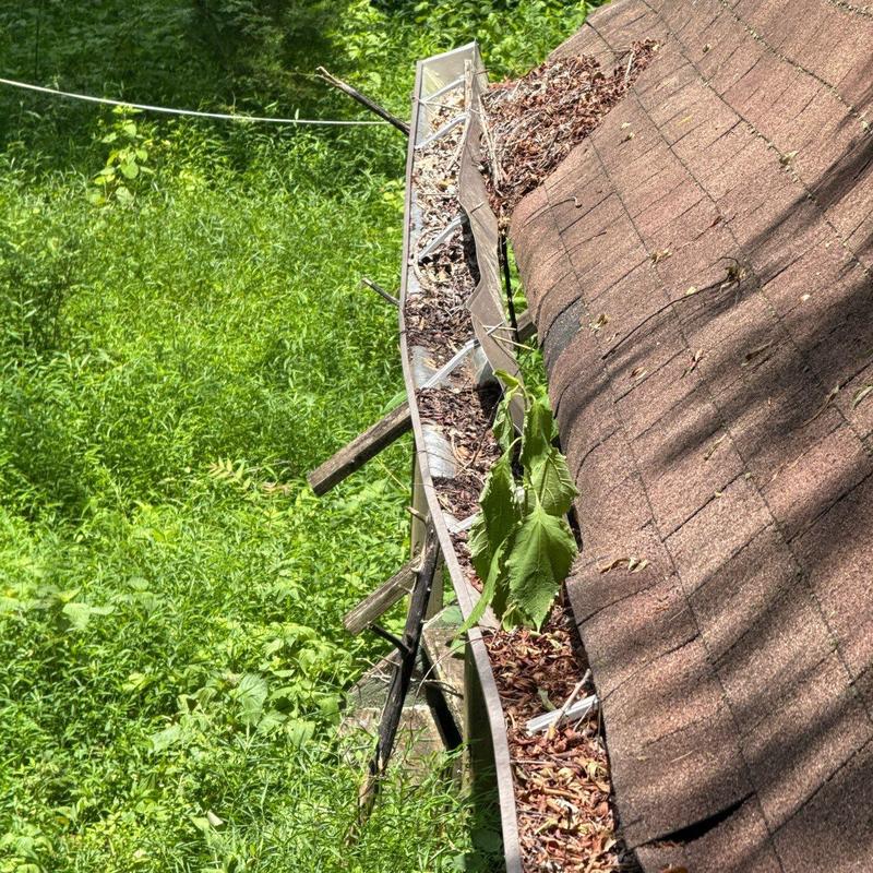Roof gutter clogged with leaves and debris