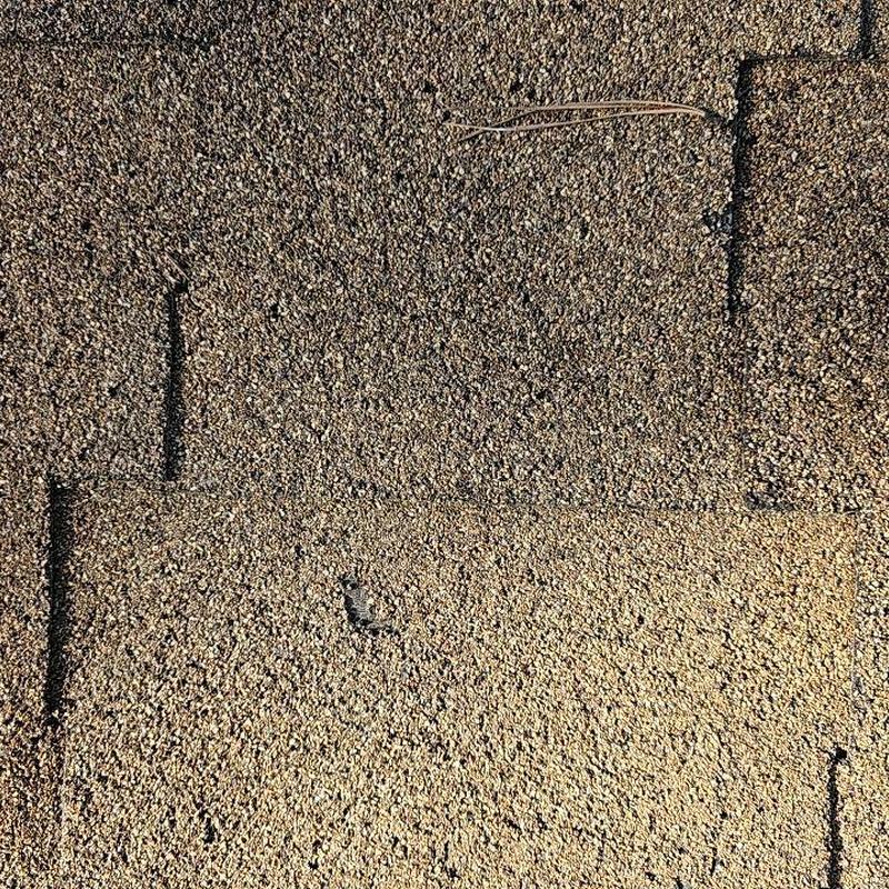 Asphalt shingle roof close-up with minor granule wear
