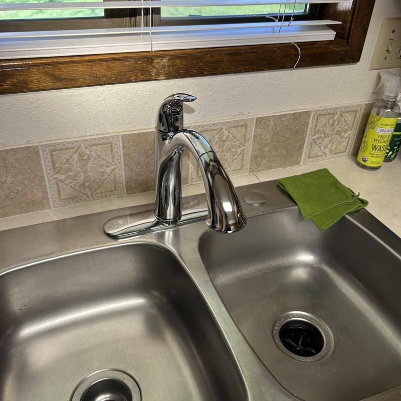 Moen kitchen faucet with dual basin stainless sink