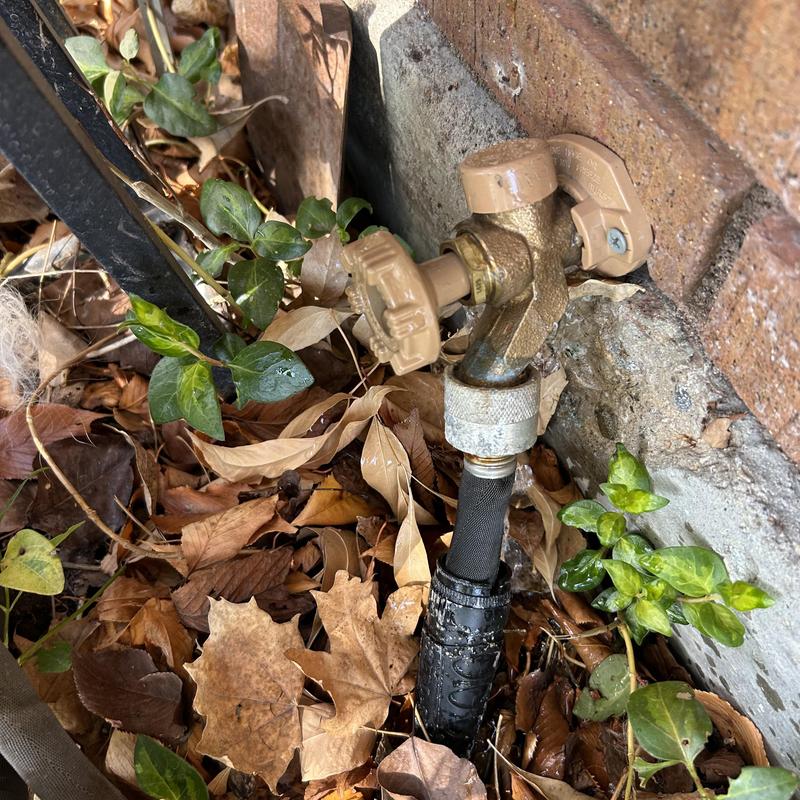 Hose bib with replaced gasket and water hose connection