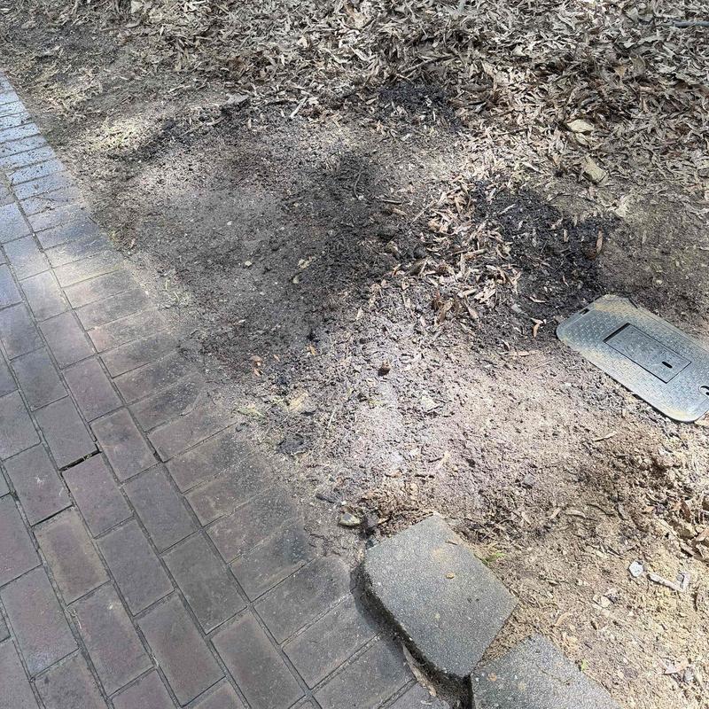 Underground blue pipe with valve box by brick driveway