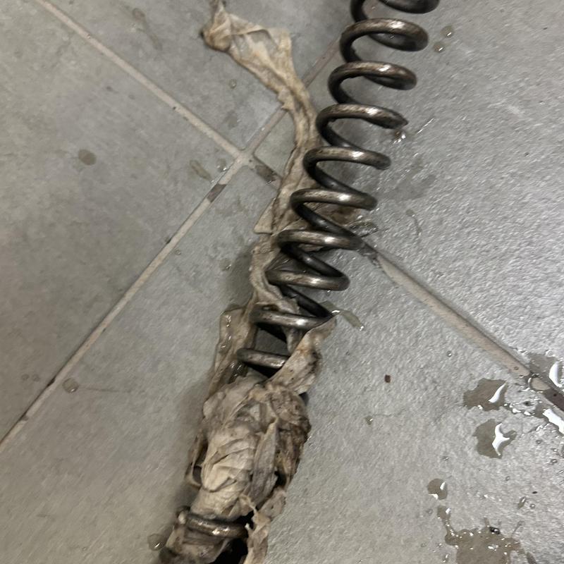 Main line drain snake with debris wrapped on spring coil Main line drain snake with debris wrapped on spring coil