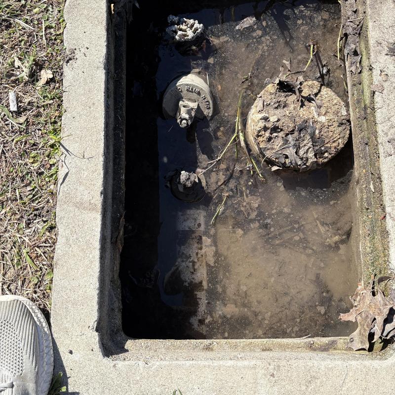 Backflow preventer valve in flooded utility box
