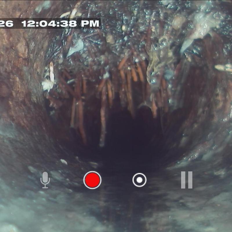 Cast iron sewer pipe with root intrusion blockage Cast iron sewer pipe with root intrusion blockage