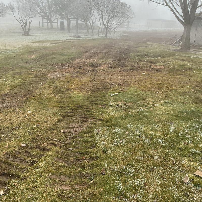 Septic drain field replacement site with disturbed soil Septic drain field replacement site with disturbed soil