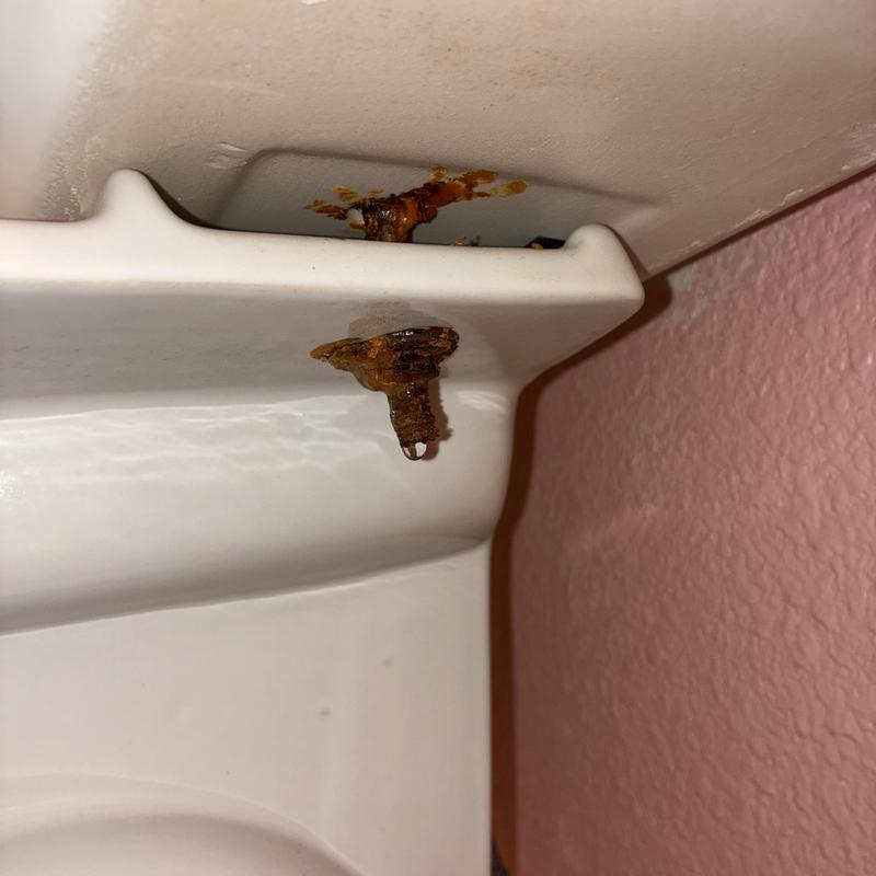 Toilet tank rusted bolts and corrosion buildup