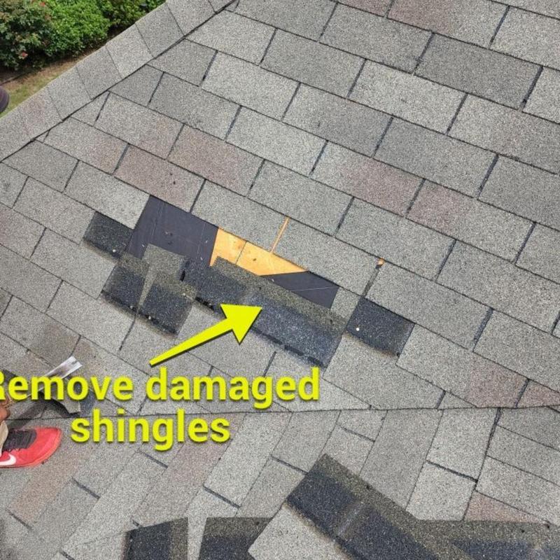 Asphalt roof shingles with removed damaged section