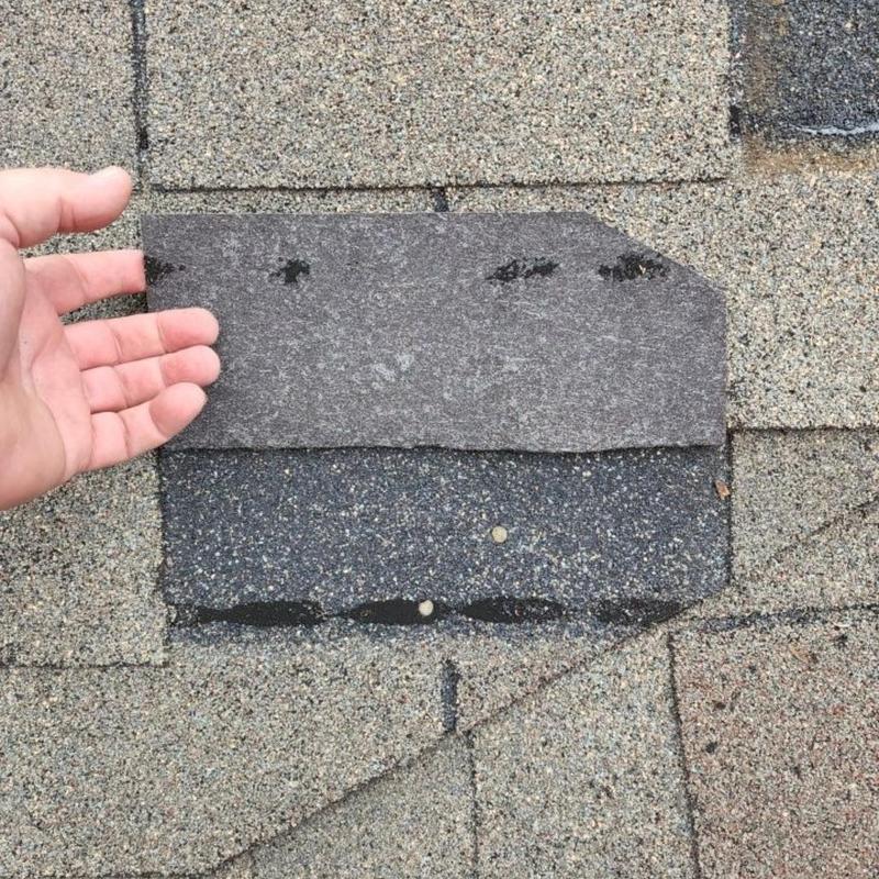 Storm damaged asphalt shingles inspection hand lifting shingle
