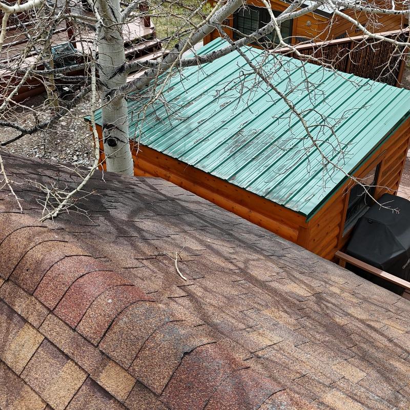Asphalt shingle roof with seasonal debris and bare tree branches