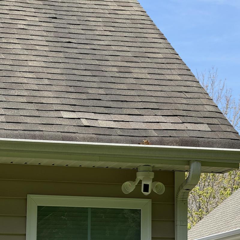 Asphalt shingle roof with water damage near gutter