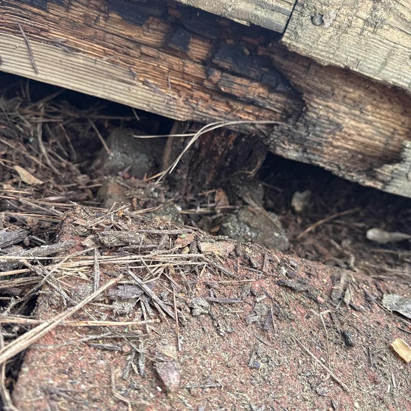 Floating deck wood rot on support post and boards