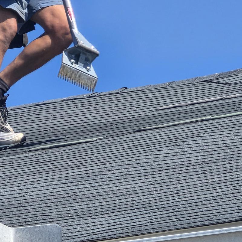 Asphalt shingle roof inspection and cleaning tool use