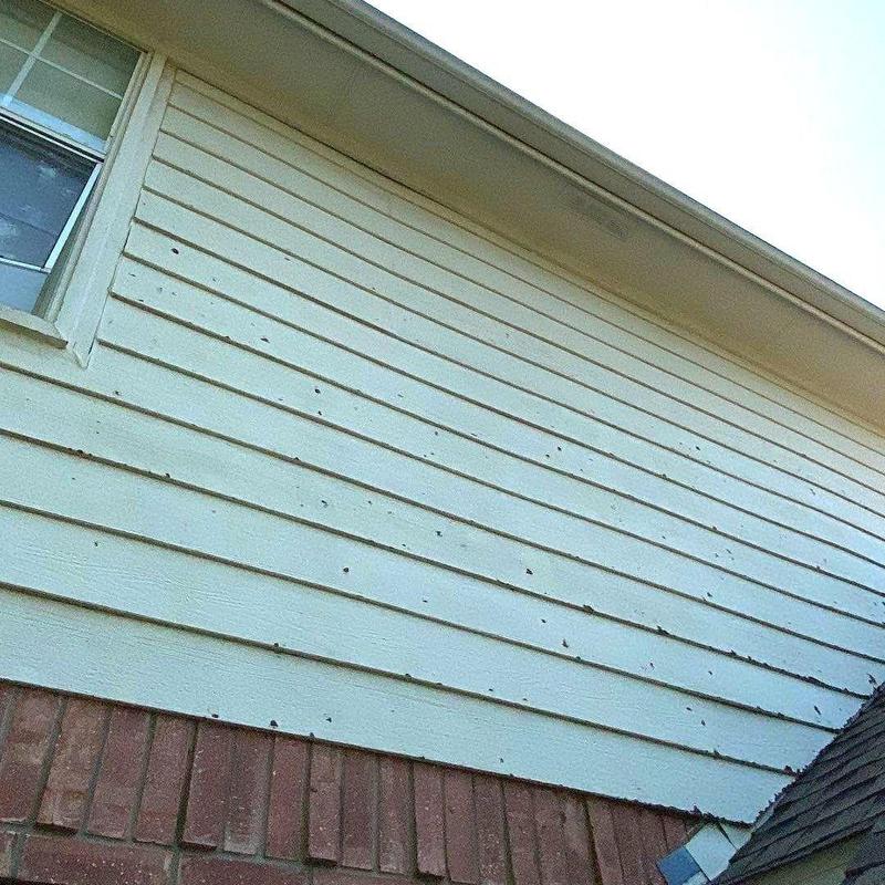 LP SmartSide siding with hail damage on home exterior