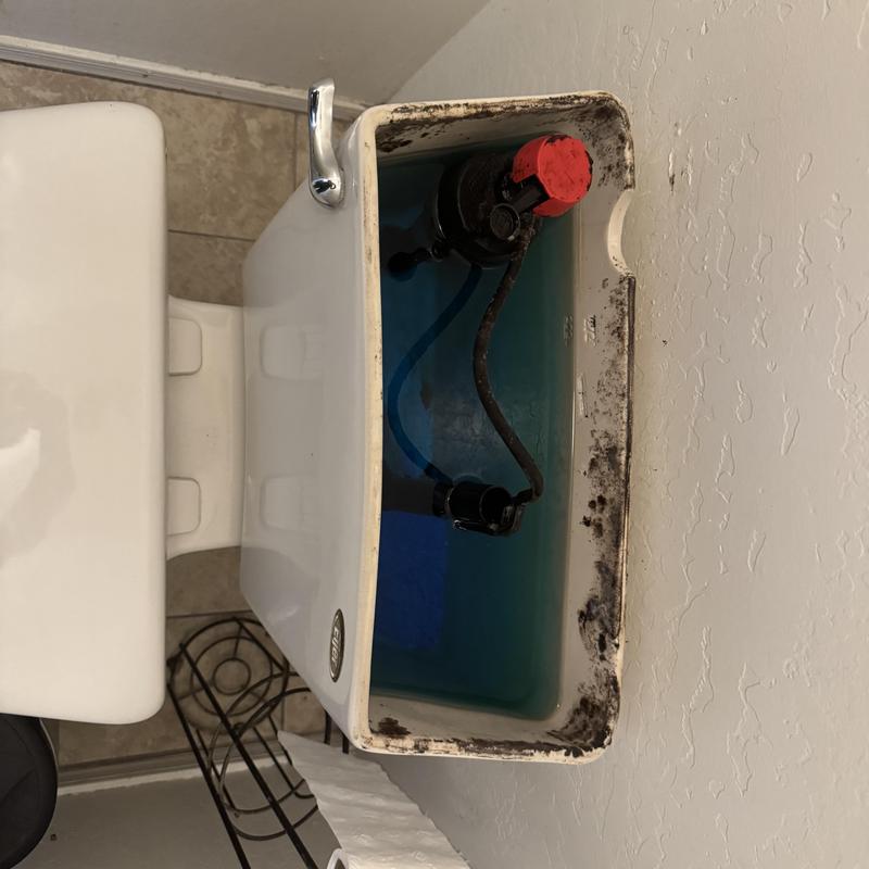 Toilet tank valve and flapper with mold buildup