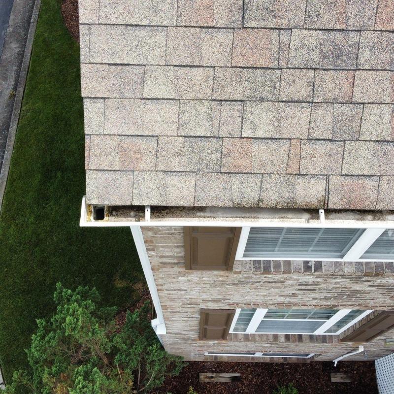 Roof shingles and gutter with minor damage
